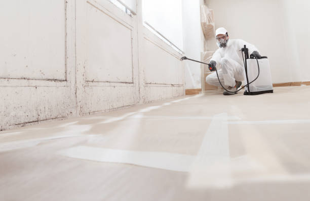 24/7 Emergency Attic Mold Removal experts in Miami Beach, FL